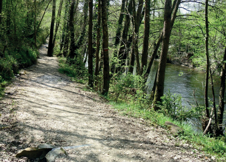 Pirineus Caminho de Santiago - Trilha arborizada utilizada pelos peregrinos no Caminho de Santiago de Compostela.