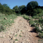 Trilha de pedras do Caminho de Santiago de Compostela percorrida pelos peregrinos.